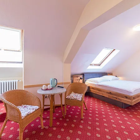 Muehlenthalers Park 3* Konz