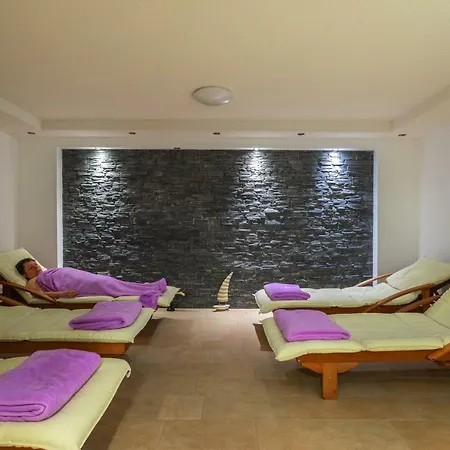Muehlenthalers Park Hotel 3*
