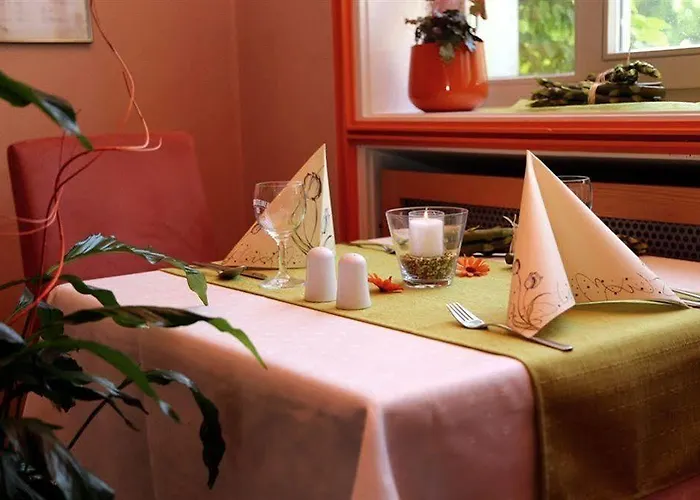 호텔 Muehlenthalers Park 3*