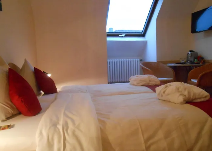 호텔 Muehlenthalers Park